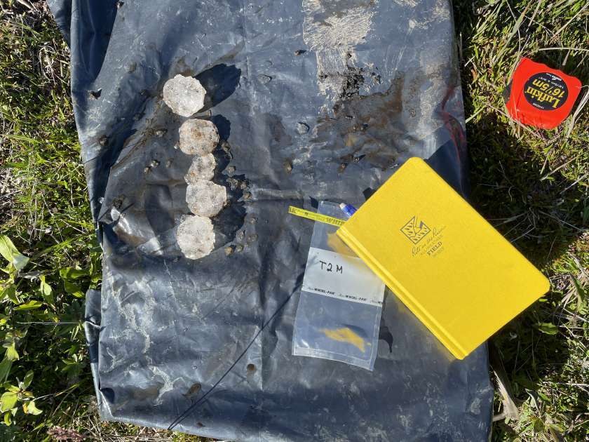 Ice recovered from wedge T2, cleaned of soil and excess ice, laid out before bagging.