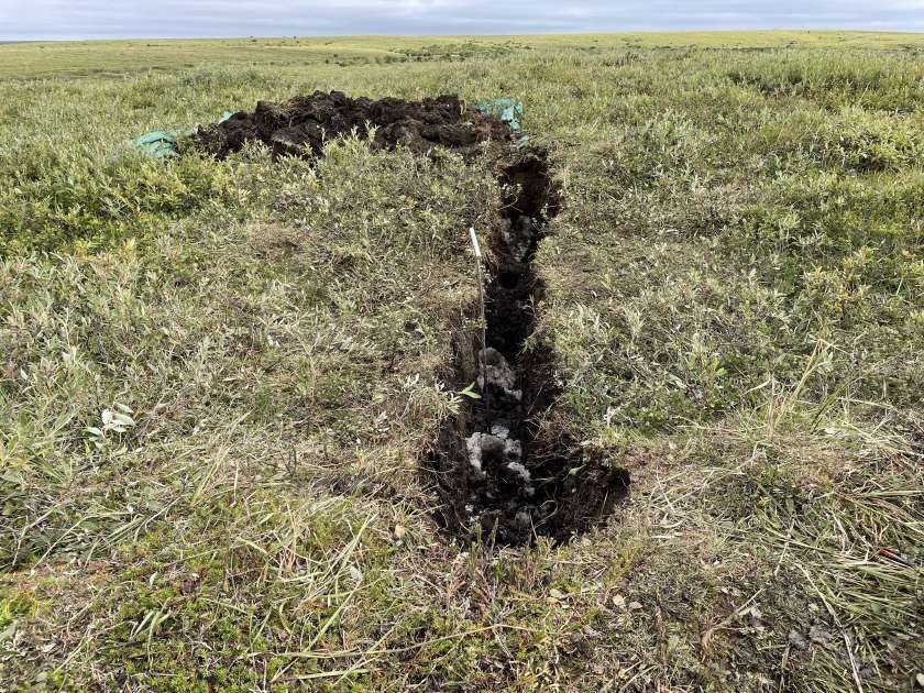 The trench at a wedge after drilling, dug ridge to ridge across the wedge. The northern slope of the Illisarvik drained lake basin is behind.