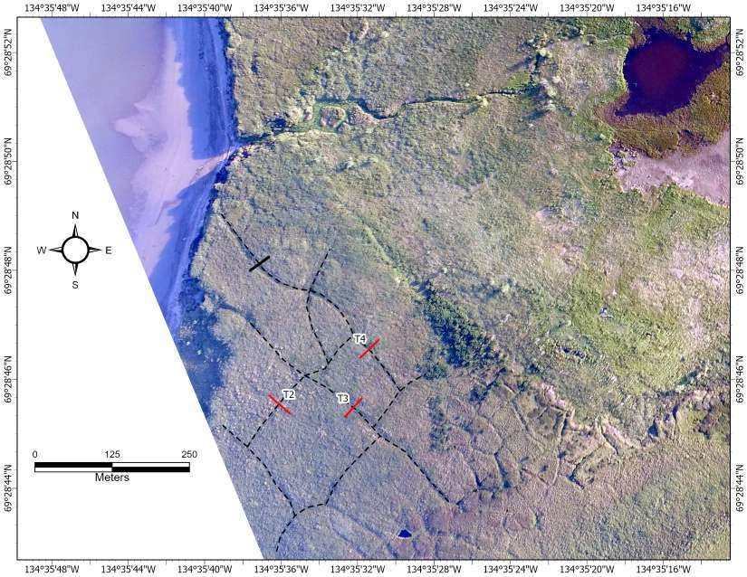 The three western wedges at Illisarvik from the air. Dashed lines trace the ice-wedge polygon network; the red bars are the trenches dug across T2, T3 and T4.